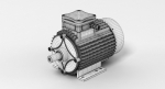 Electric Motor