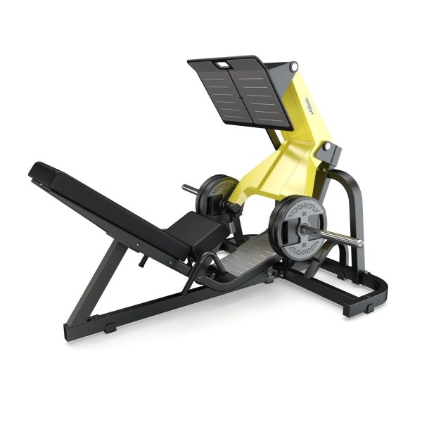 103 Models Gym Fitness Weight Collection