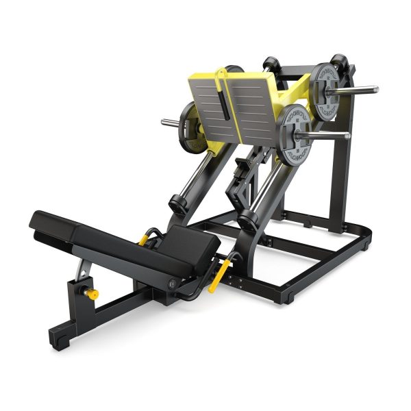 103 Models Gym Fitness Weight Collection