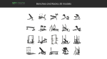 103 Models Gym Fitness Weight Collection