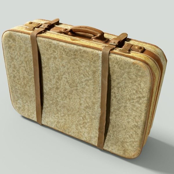 12 Vintage Suitcases Retro Valise Collection