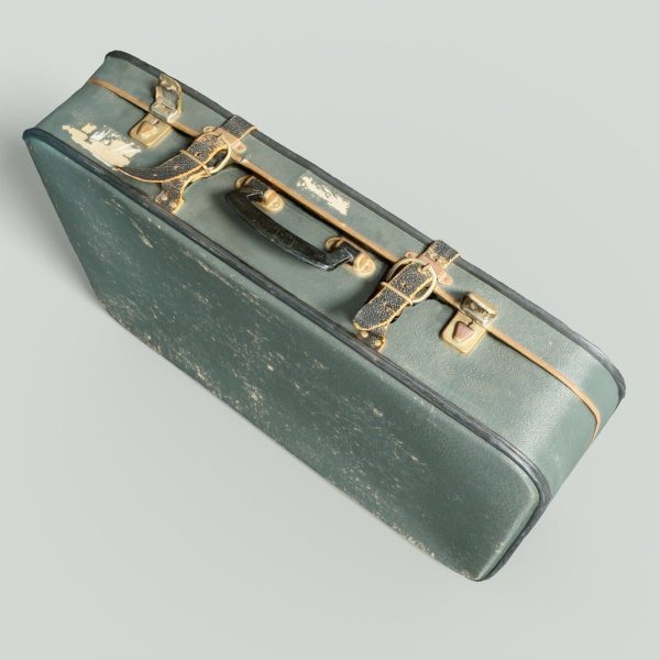 12 Vintage Suitcases Retro Valise Collection