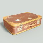 12 Vintage Suitcases Retro Valise Collection