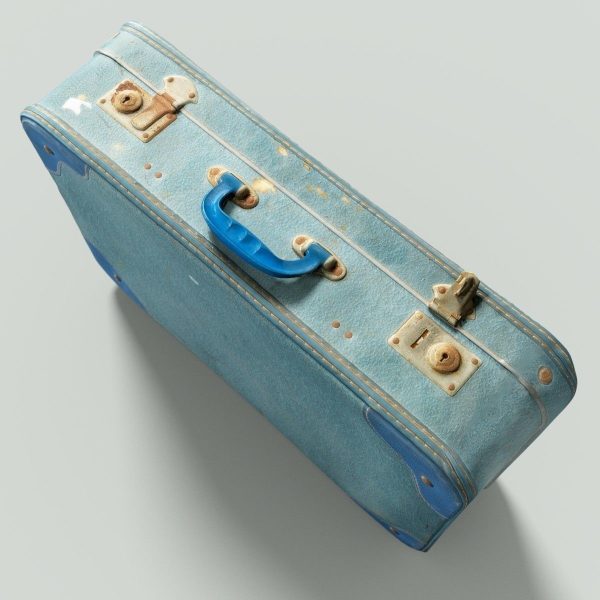 12 Vintage Suitcases Retro Valise Collection