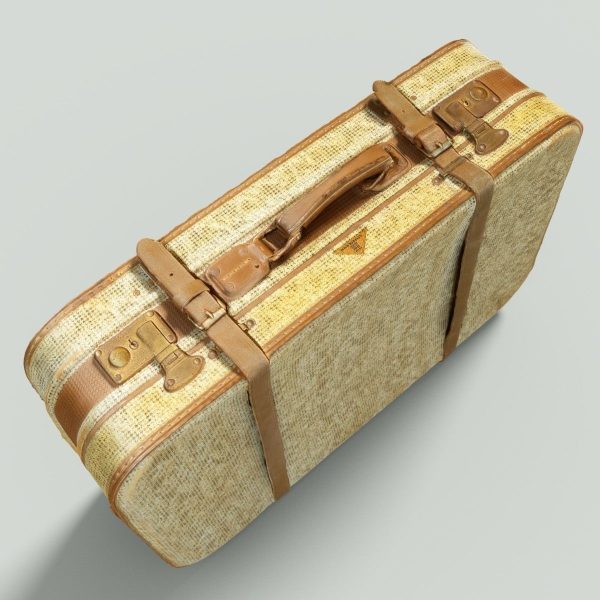 12 Vintage Suitcases Retro Valise Collection