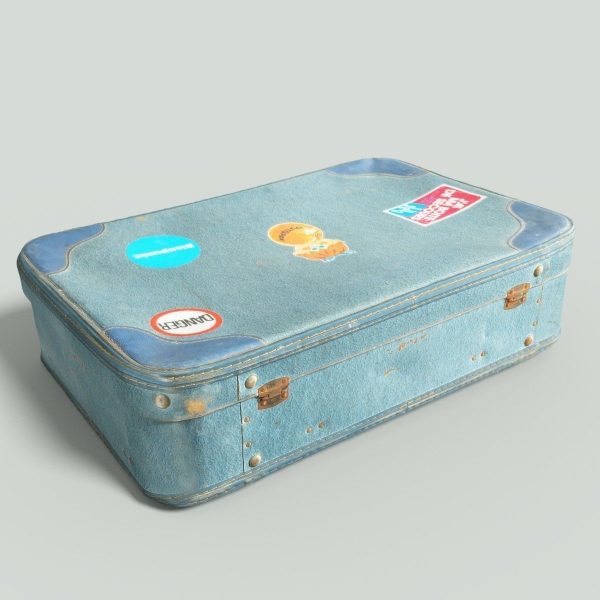 12 Vintage Suitcases Retro Valise Collection