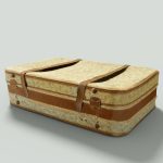 12 Vintage Suitcases Retro Valise Collection