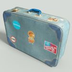 12 Vintage Suitcases Retro Valise Collection