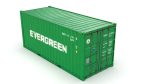 20 feet EVERGREEN standard shipping container
