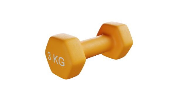 3 Kg Dumbbell