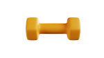 3 Kg Dumbbell
