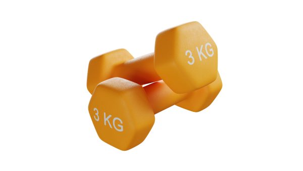 3 Kg Dumbbell