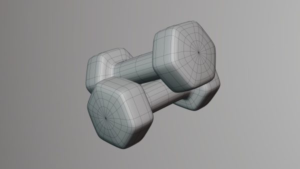 3 Kg Dumbbell