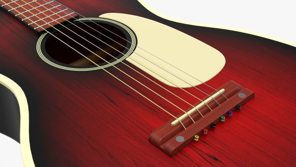 Acoustic folk guitar 01