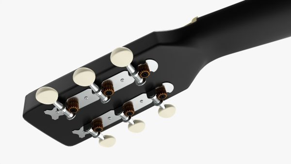 Acoustic folk guitar 01