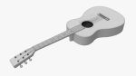 Acoustic folk guitar 01