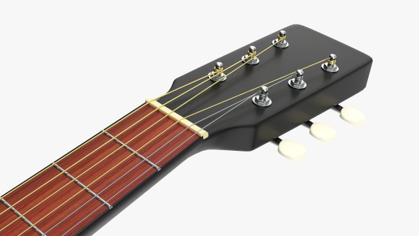 Acoustic folk guitar 01