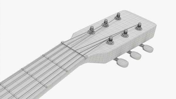 Acoustic folk guitar 01