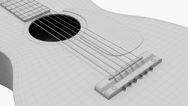 Acoustic folk guitar 02