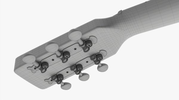 Acoustic folk guitar 02