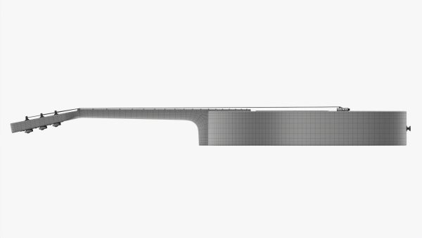Acoustic folk guitar 02