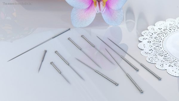 Acupuncture Needles Set Silver