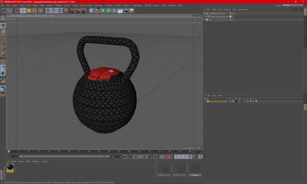 Adjustable Kettlebell