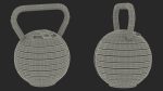 Adjustable Kettlebell Gray
