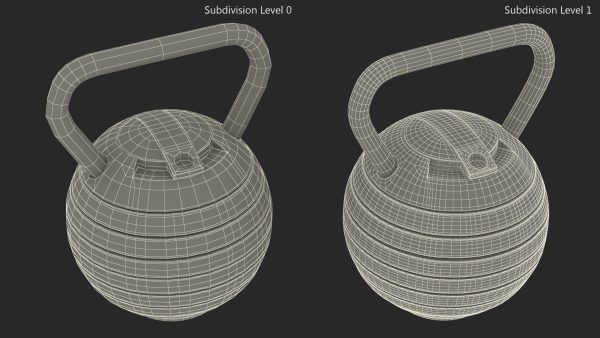 Adjustable Kettlebell Gray