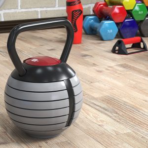 Adjustable Kettlebell Gray