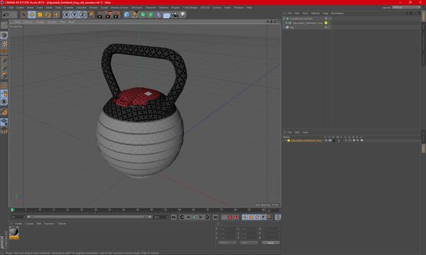 Adjustable Kettlebell Gray