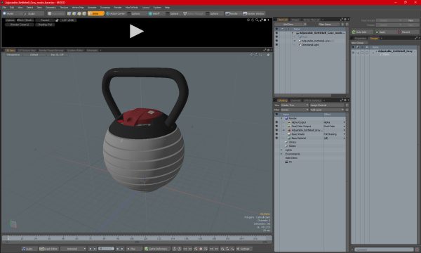 Adjustable Kettlebell Gray
