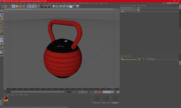 Adjustable Kettlebell Red