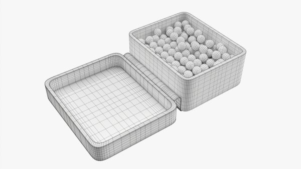 Air pistol bullet box open
