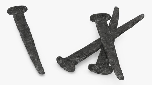 Ancient Aged Nail