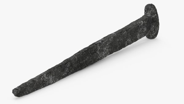 Ancient Aged Nail