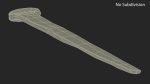 Ancient Aged Nail