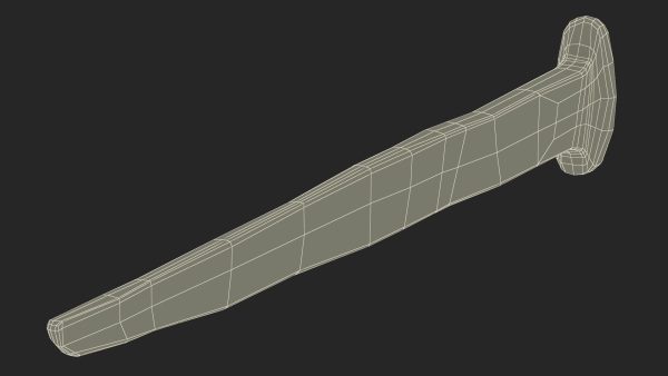 Ancient Aged Nail
