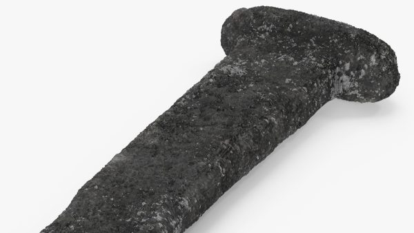 Ancient Aged Nail