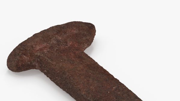 Antique Rusty Nail