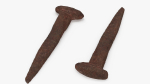 Antique Rusty Nail