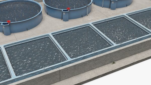 Aquaculture Complex