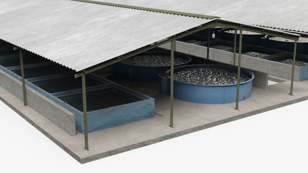 Aquaculture Complex