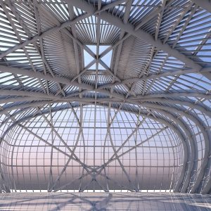 Architectural Shed