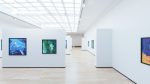 Art Museum Gallery Interior 4
