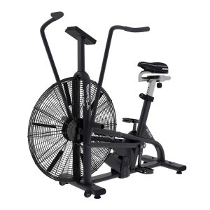 Assault AirBike