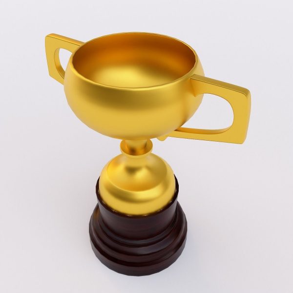 Award trophy cup 3dmodel