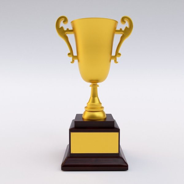 Award trophy cup 3dmodel