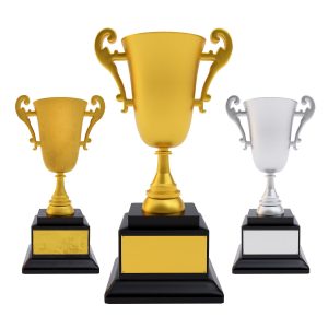Award trophy cup 3dmodel
