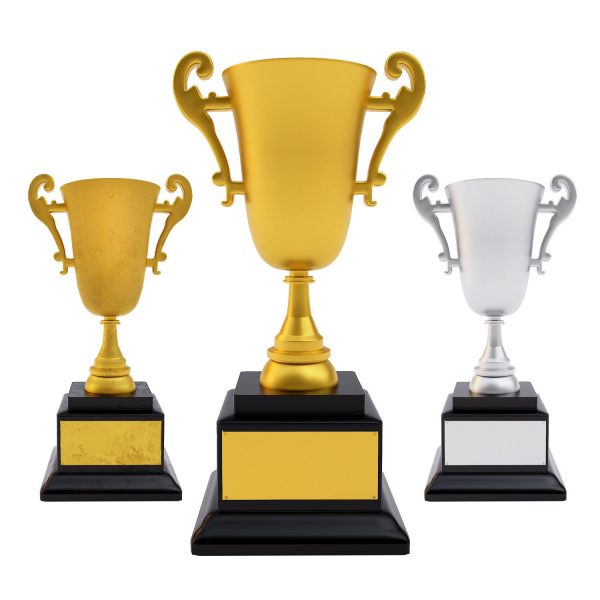 Award trophy cup 3dmodel